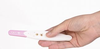 gravid køn hvornår kan man kun blive gravid når man har ægløsning gravid køn hvornår kan man kun blive gravid når man har ægløsning