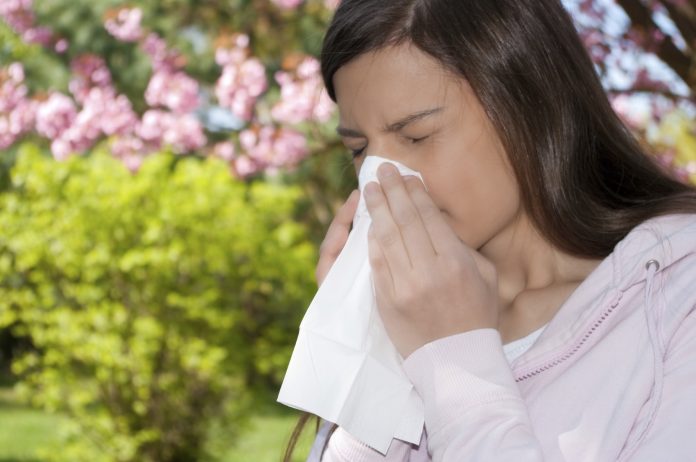 hvilke-naesespray-og-oejendraaber-maa-jeg-anvende-naar-jeg-er-gravid_9373189 Jeg er gravid og har høfeber. Hvilke allergipiller, næsespray og øjendråber må jeg anvende?