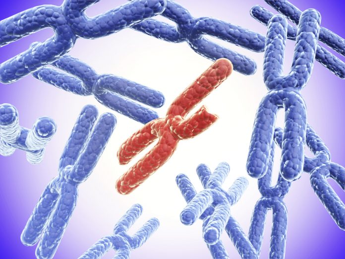 Broken red X chromosome and full blue X chromosomes Kan man undersøge om man får et handicappet barn?